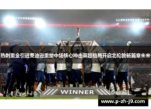 热刺重金引进麦迪逊重塑中场核心冲击英超格局开启北伦敦新篇章未来