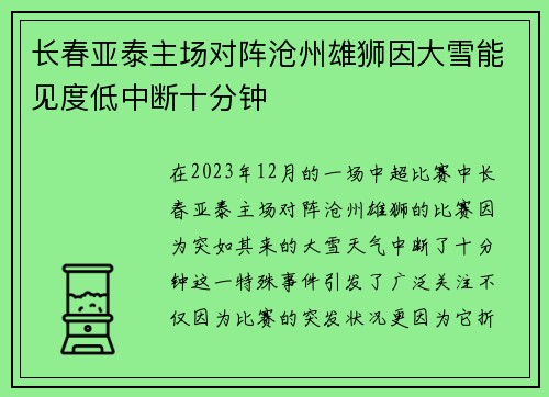 长春亚泰主场对阵沧州雄狮因大雪能见度低中断十分钟
